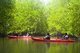 Thailand: Kayakers in the mangroves, Than Bokkharani National Park, Krabi Province
